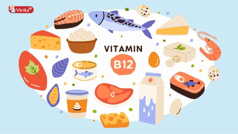 Các thực phẩm chứa vitamin B12