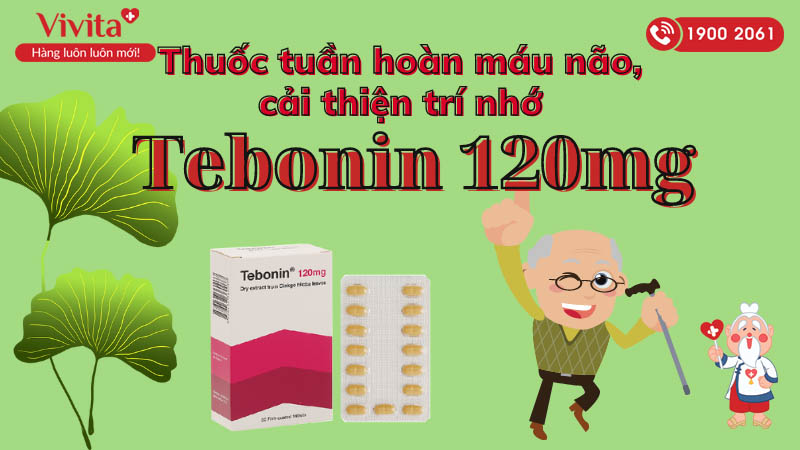 Tebonin 120mg là thuốc gì?