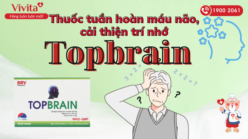 Thuốc tuần hoàn máu não, cải thiện trí nhớ Topbrain