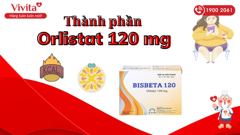 Thành phần của thuốc hỗ trợ trị béo phì Bisbeta 120