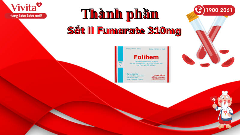 Thành phần thuốc bổ sung sắt và axit folic Folihem
