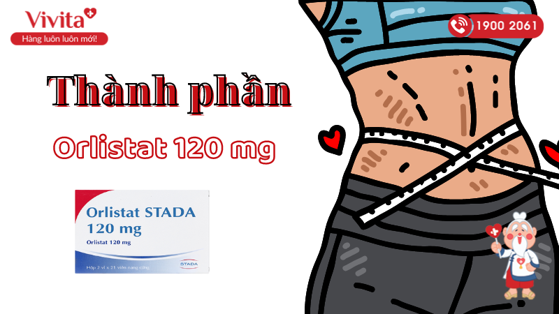 Thành phần thuốc hỗ trợ trị béo phì Orlistat Stada 120mg