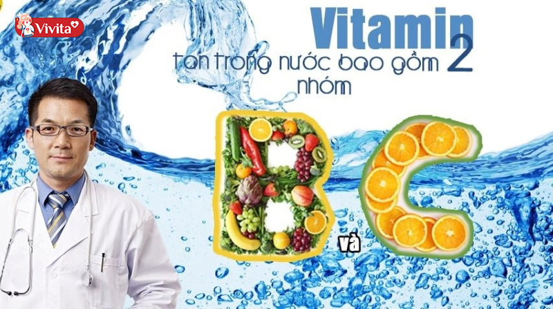 đặc điểm vitamin tan trong nước