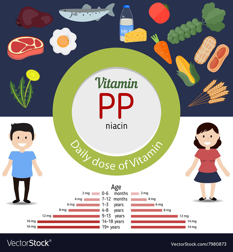Liều dùng vitamin PP 