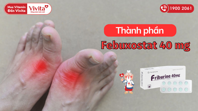 Thành phần thuốc trị gout, tăng acid uric huyết Friburine 40mg