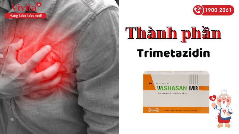Thành phần của thuốc trị đau thắt ngực Vashasan MR