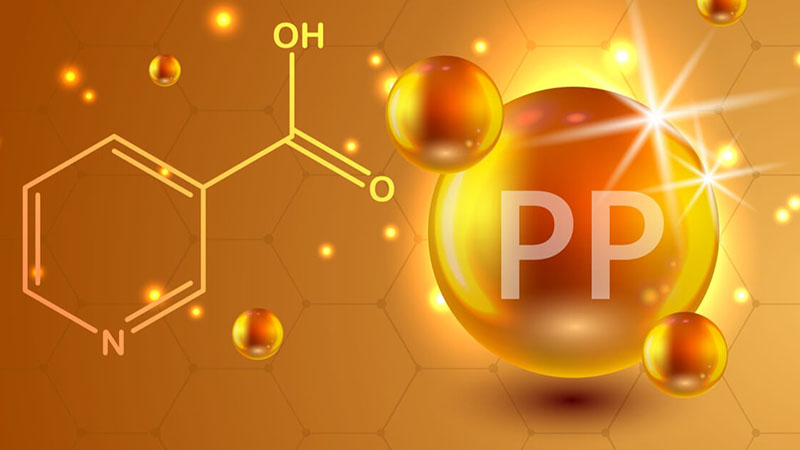 vitamin pp có tác dụng gì