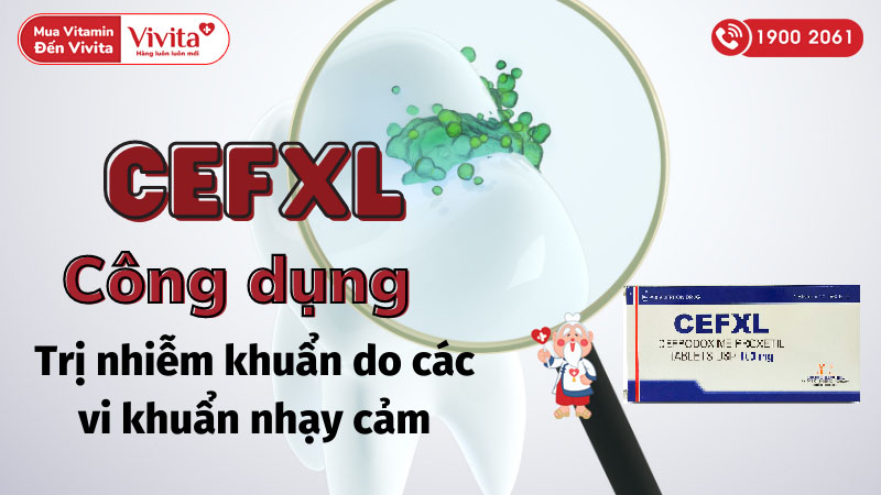 Công dụng (Chỉ định) của thuốc kháng sinh trị nhiễm khuẩn CefXL-tablets