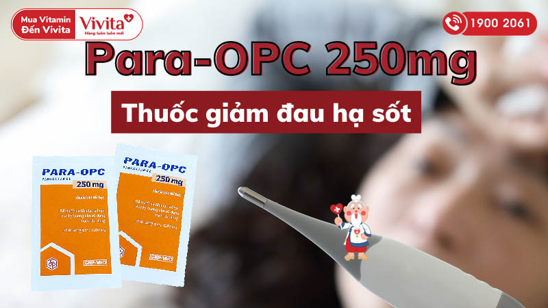 Para-OPC 250mg là thuốc gì?