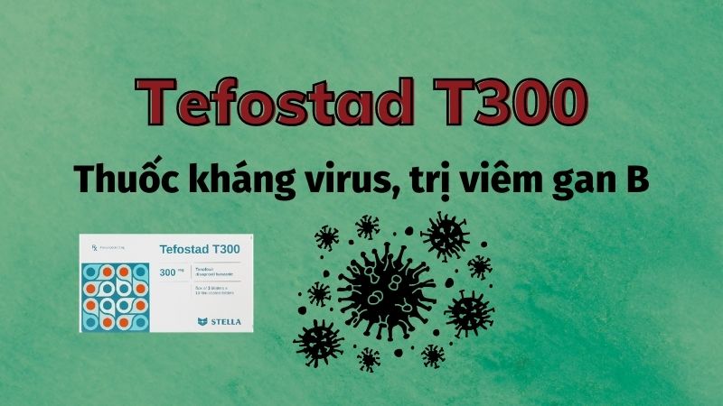 Tefostad T300 là thuốc gì?