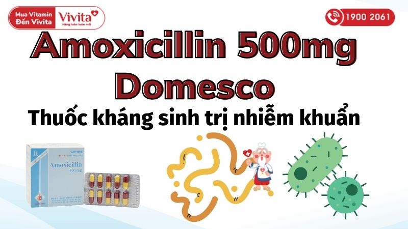 Amoxicillin 500mg Domesco là thuốc gì?