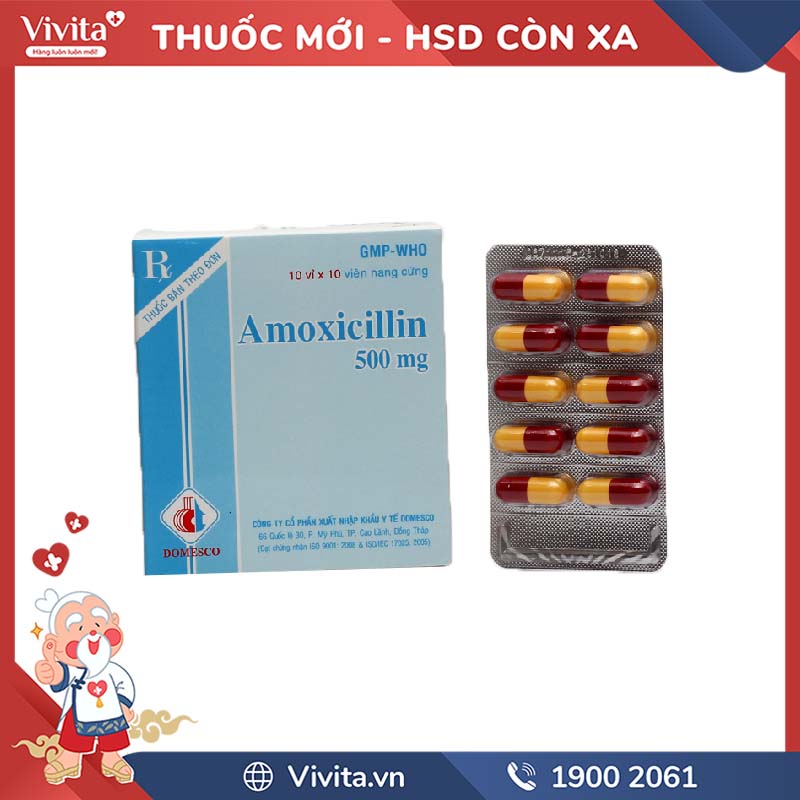 Thuốc kháng sinh trị nhiễm khuẩn Amoxicillin 500mg Domesco | Hộp 100 viên