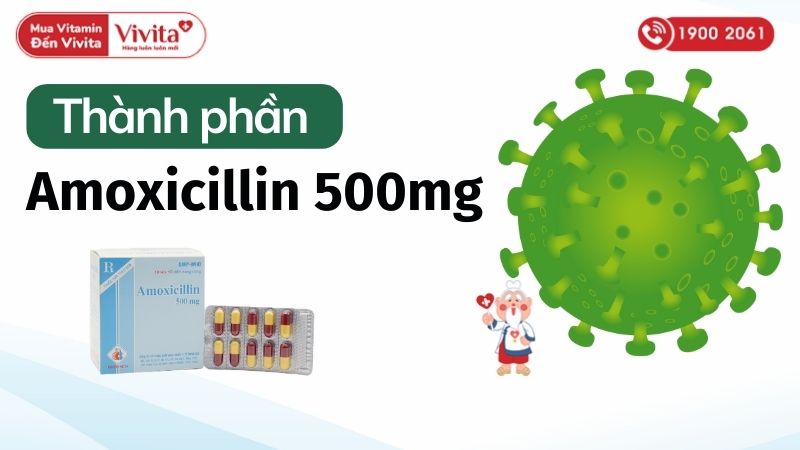 Thành phần thuốc kháng sinh trị nhiễm khuẩn Amoxicillin 500mg Domesco