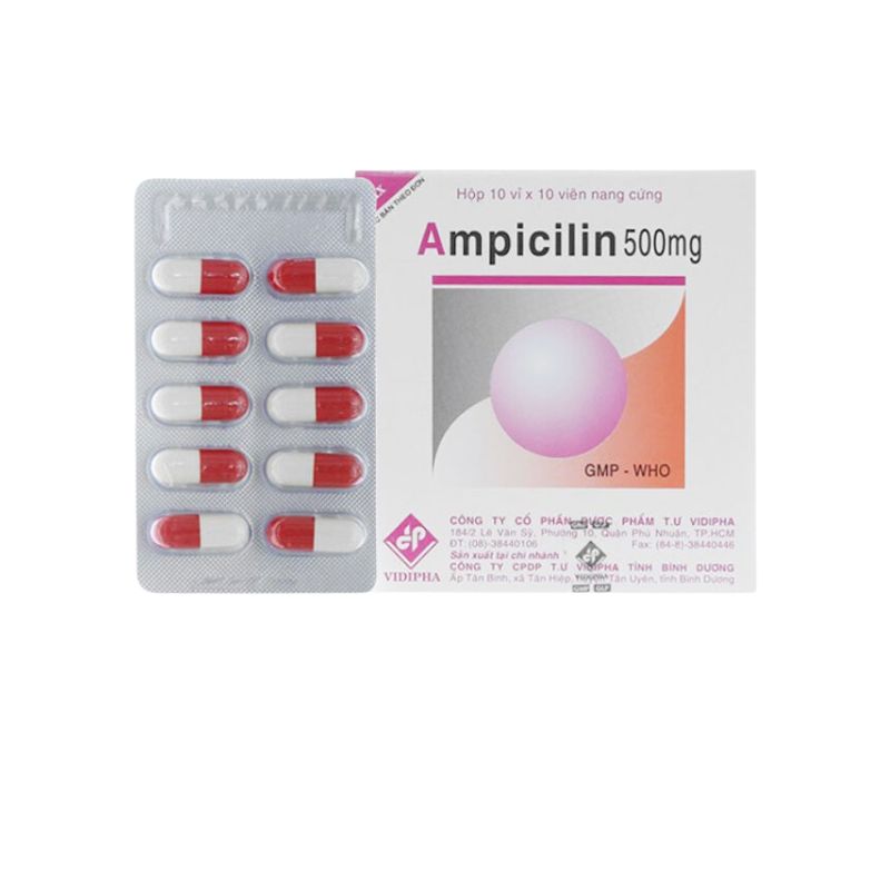 Thuốc kháng sinh trị nhiễm khuẩn Ampicilin 500mg Vidipha | Hộp 100 viên