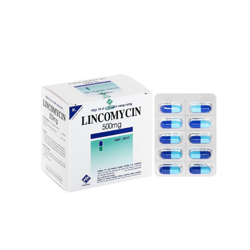 Thuốc kháng sinh trị nhiễm khuẩn Lincomycin Vidipha 500mg | Hộp 100 viên