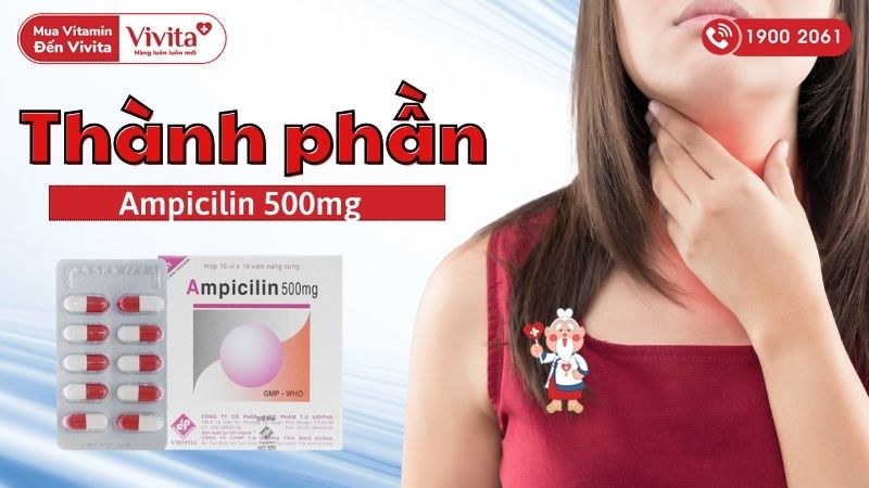Thành phần thuốc kháng sinh trị nhiễm khuẩn Ampicilin 500mg Vidipha
