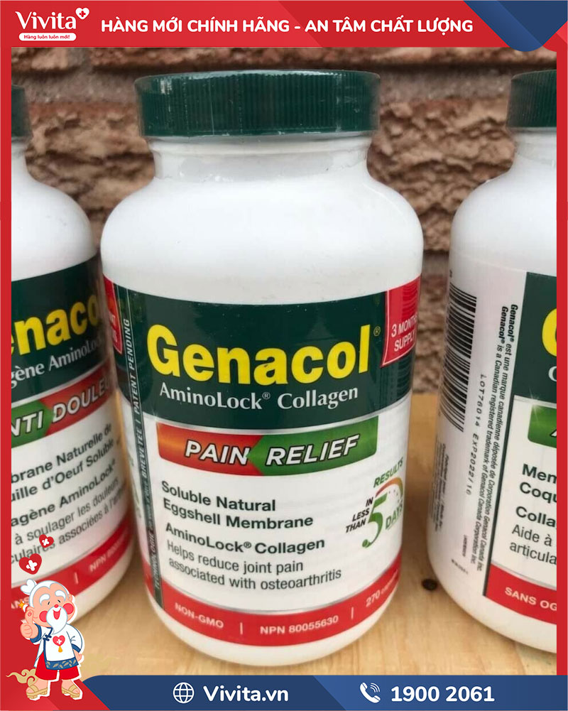 thành phần genacol pain relief