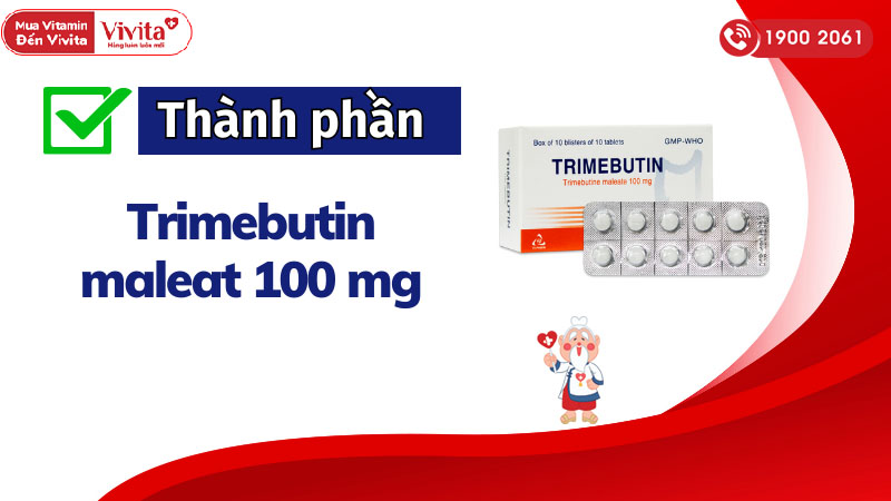 Thành phần của thuốc Trimebutin TV.Pharm