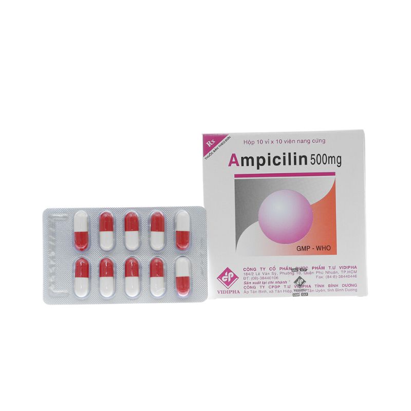 Thuốc kháng sinh trị nhiễm khuẩn Ampicilin 500mg Vidipha | Hộp 100 viên