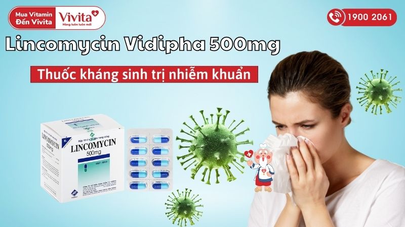 Lincomycin Vidipha 500mg là thuốc gì?