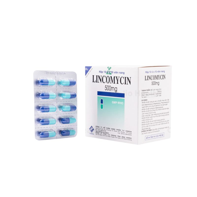 Thuốc kháng sinh trị nhiễm khuẩn Lincomycin Vidipha 500mg | Hộp 100 viên