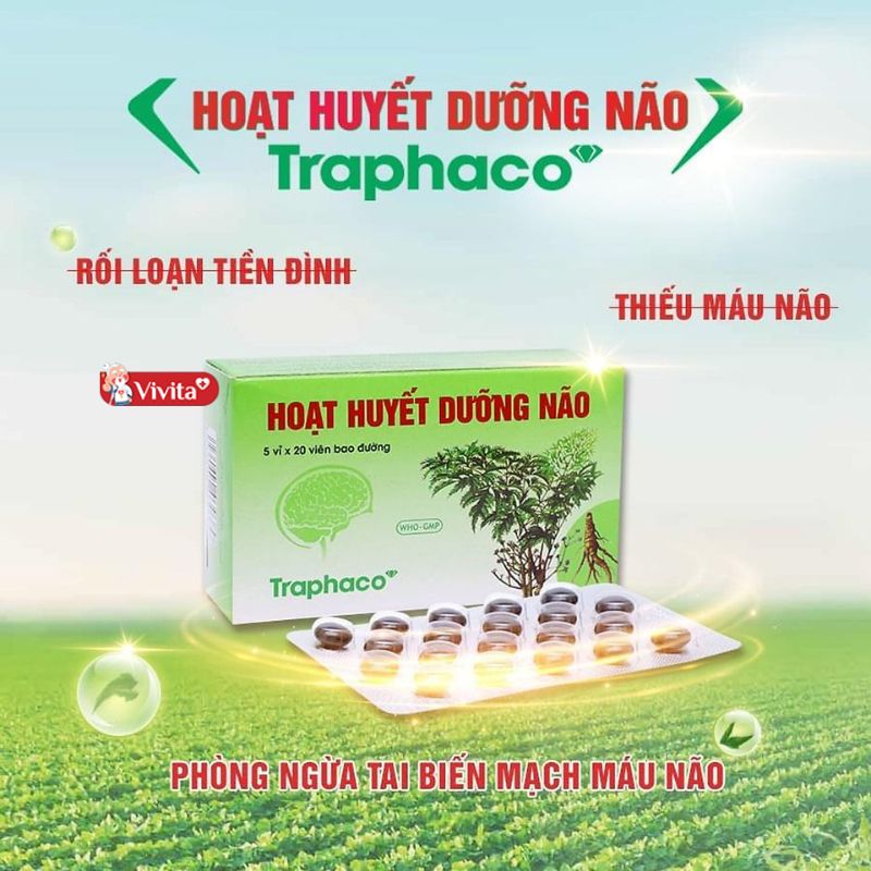 Những ai không nên dùng hoạt huyết dưỡng não Traphaco