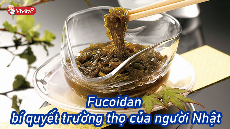 Uống Fucoidan bao lâu thì ngưng