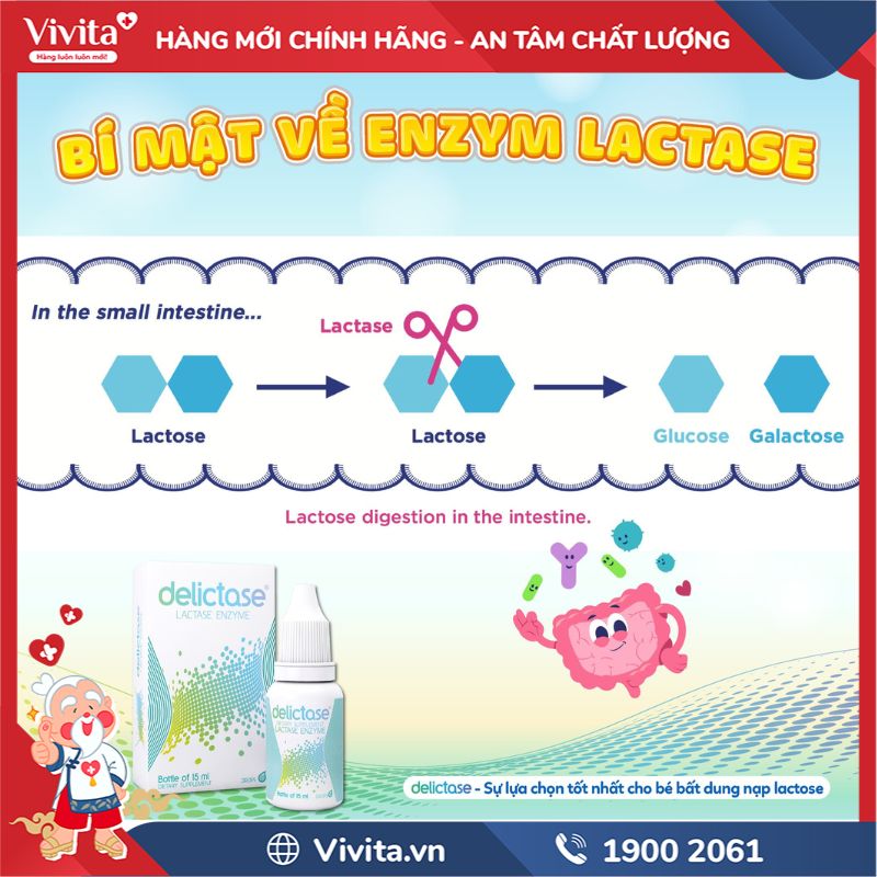 Delictase Oral Drops có tốt không?