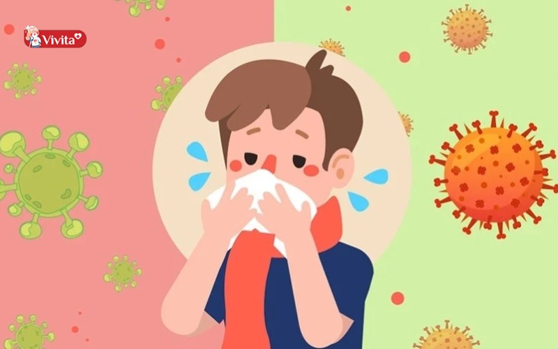 Tiềm năng Fucoidan điều trị chống lại virus cúm A