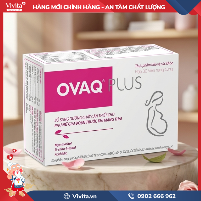 OvaQ1 là gì