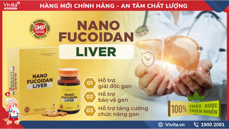 Công dụng Nano Fucoidan Liver