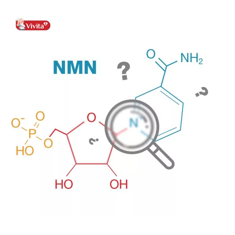 Khái niệm NMN là gì?