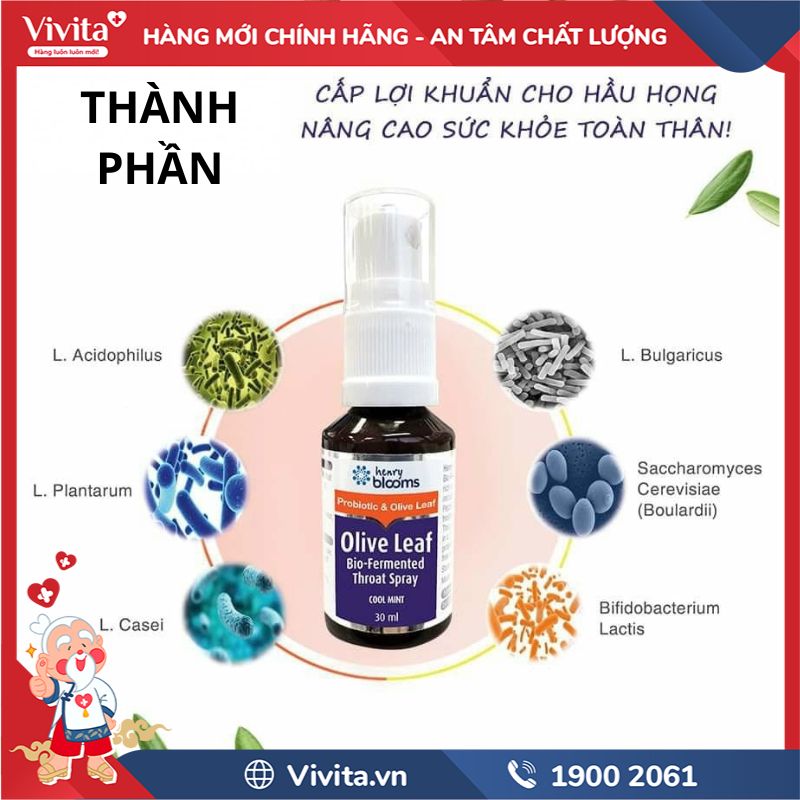 Thành phần của Olive Leaf Bio-Fermented