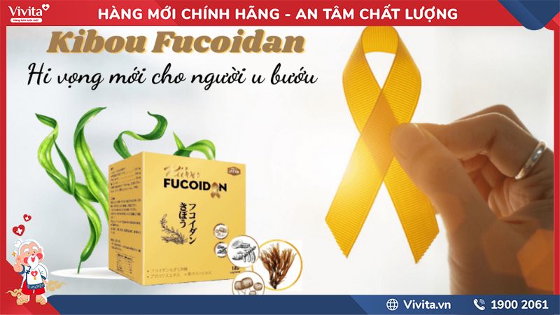 Công Dụng Kibou Fucoidan