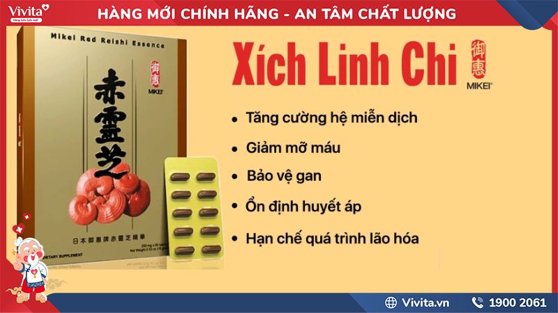 Công Dụng Xích Linh Chi Mikei Nhật Bản