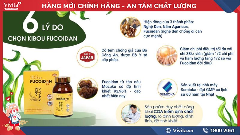 Kibou Fucoidan Có Tốt Không