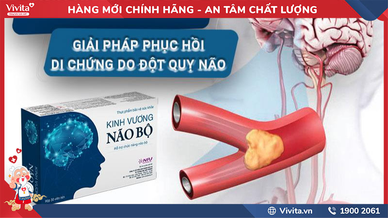 kinh vương não bộ có tác dụng gì