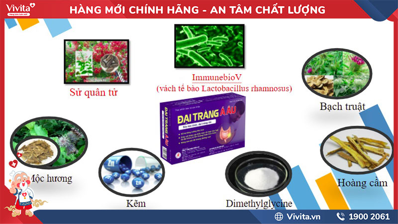 thành phần của đại tràng á âu