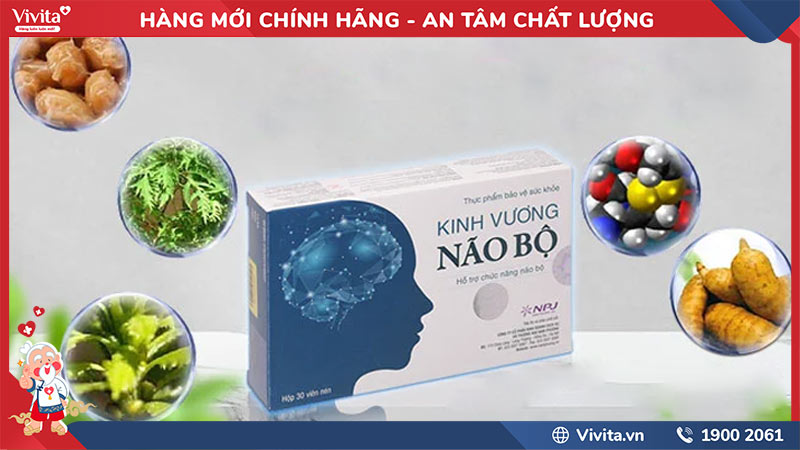 thành phần của kinh vương não bộ