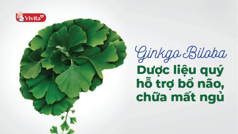 Công dụng Ginkgo Biloba đối với sức khỏe con người