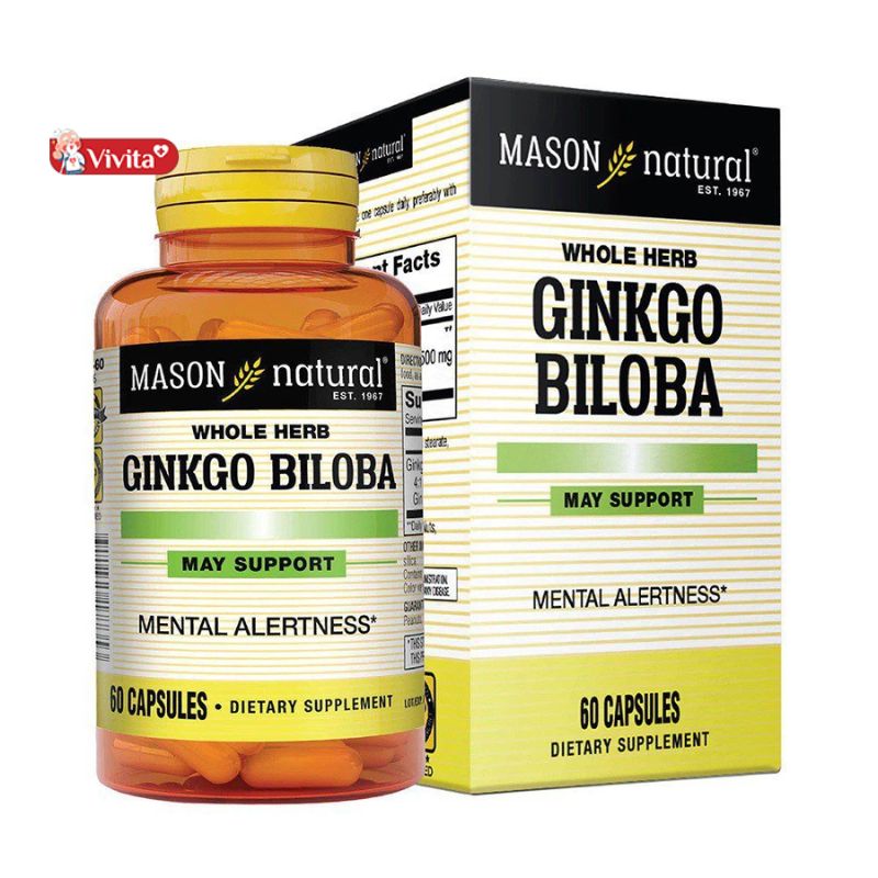 Mason Ginkgo Biloba của Mỹ