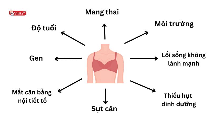 Tại sao vòng 1 ngừng phát triển?