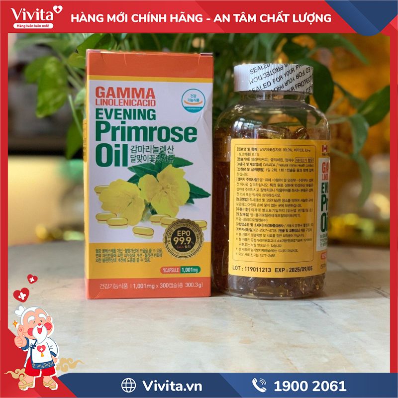 Thành phần của Tinh Dầu Hoa Anh Thảo Gamma Linolenic Acid