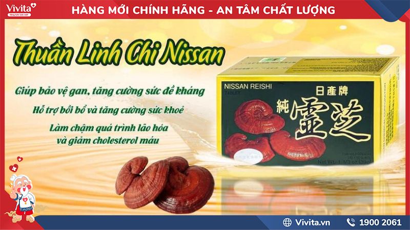 Thuần Linh Chi Nissan có tốt không