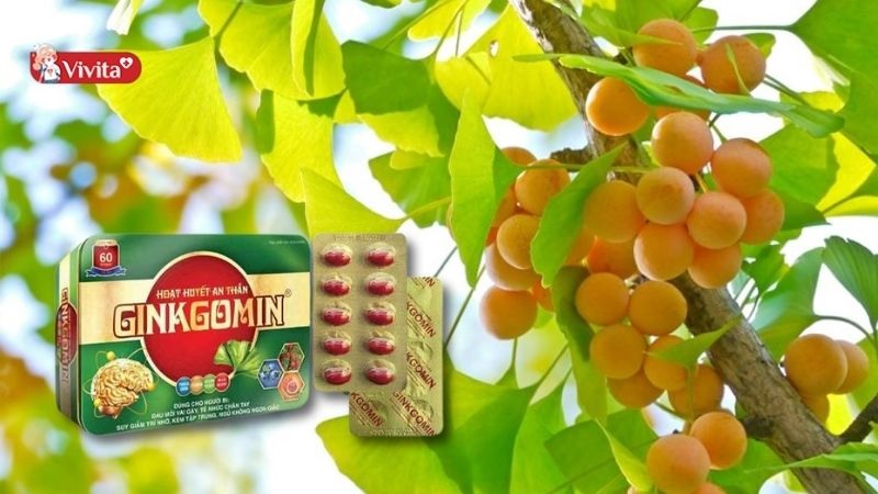 Hoạt Huyết An Thần Ginkgomin được bào chế từ thành phần tự nhiên nên đảm bảo lành tính, an toàn