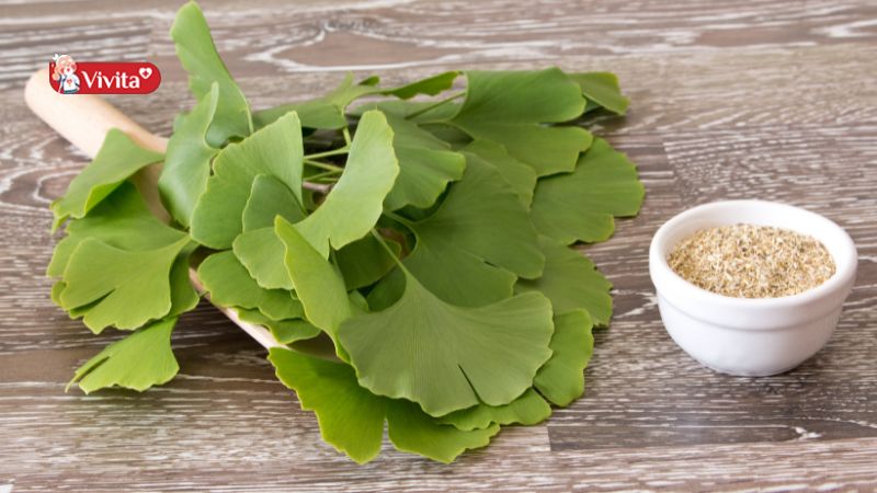 Thành phần của Ginkgomin