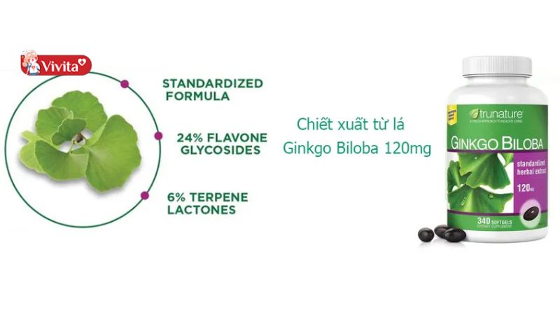 Thành phần của Ginkgo Biloba Trunature