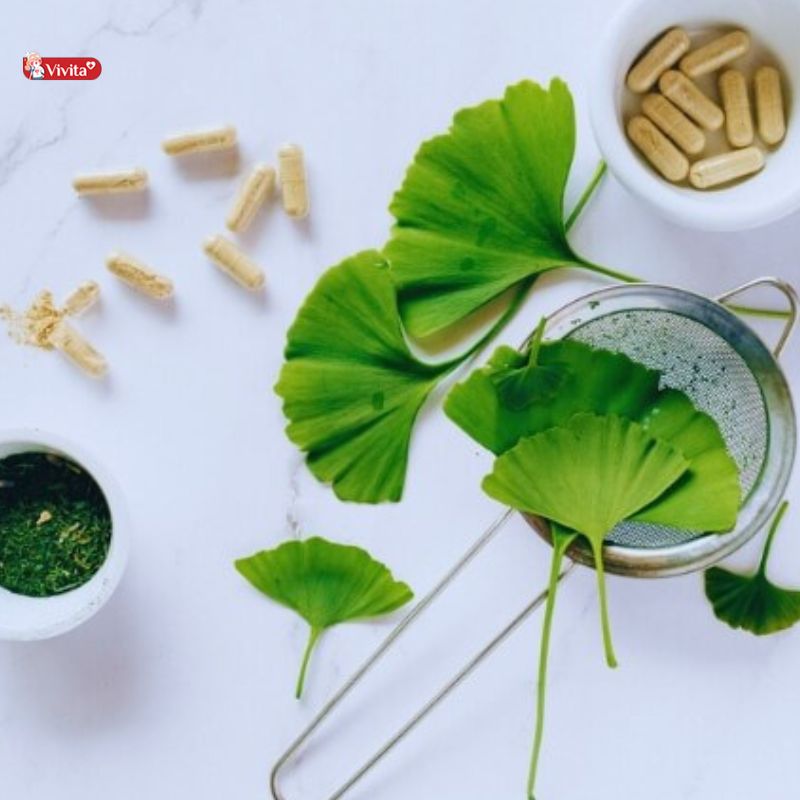 Thảo dược Ginkgo Biloba