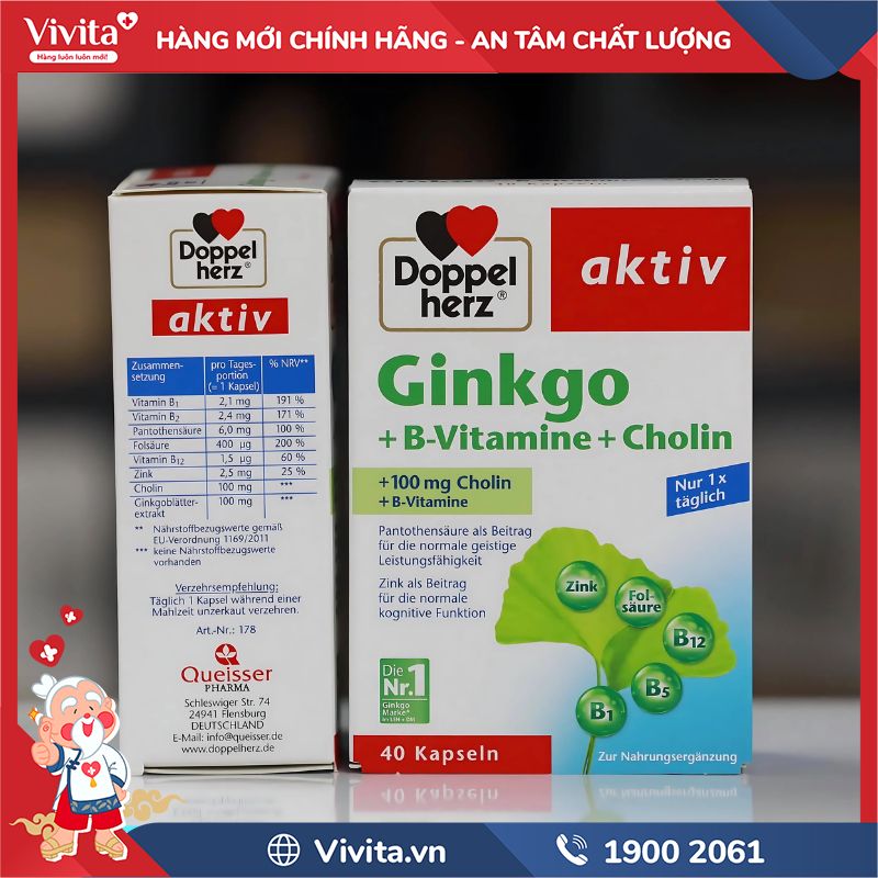 Thành phần Doppelherz Aktiv Ginkgoa