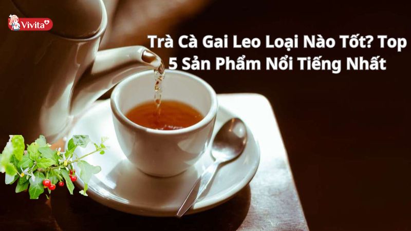 Trà Cà Gai Leo Loại Nào Tốt